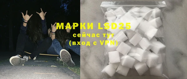 PSILOCYBIN Вязники