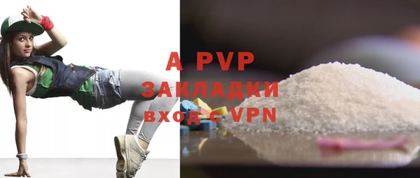 PSILOCYBIN Вязники