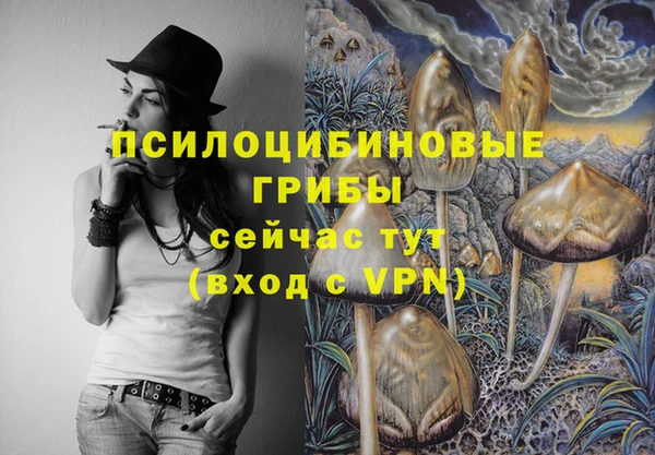 прущие грибы Волосово
